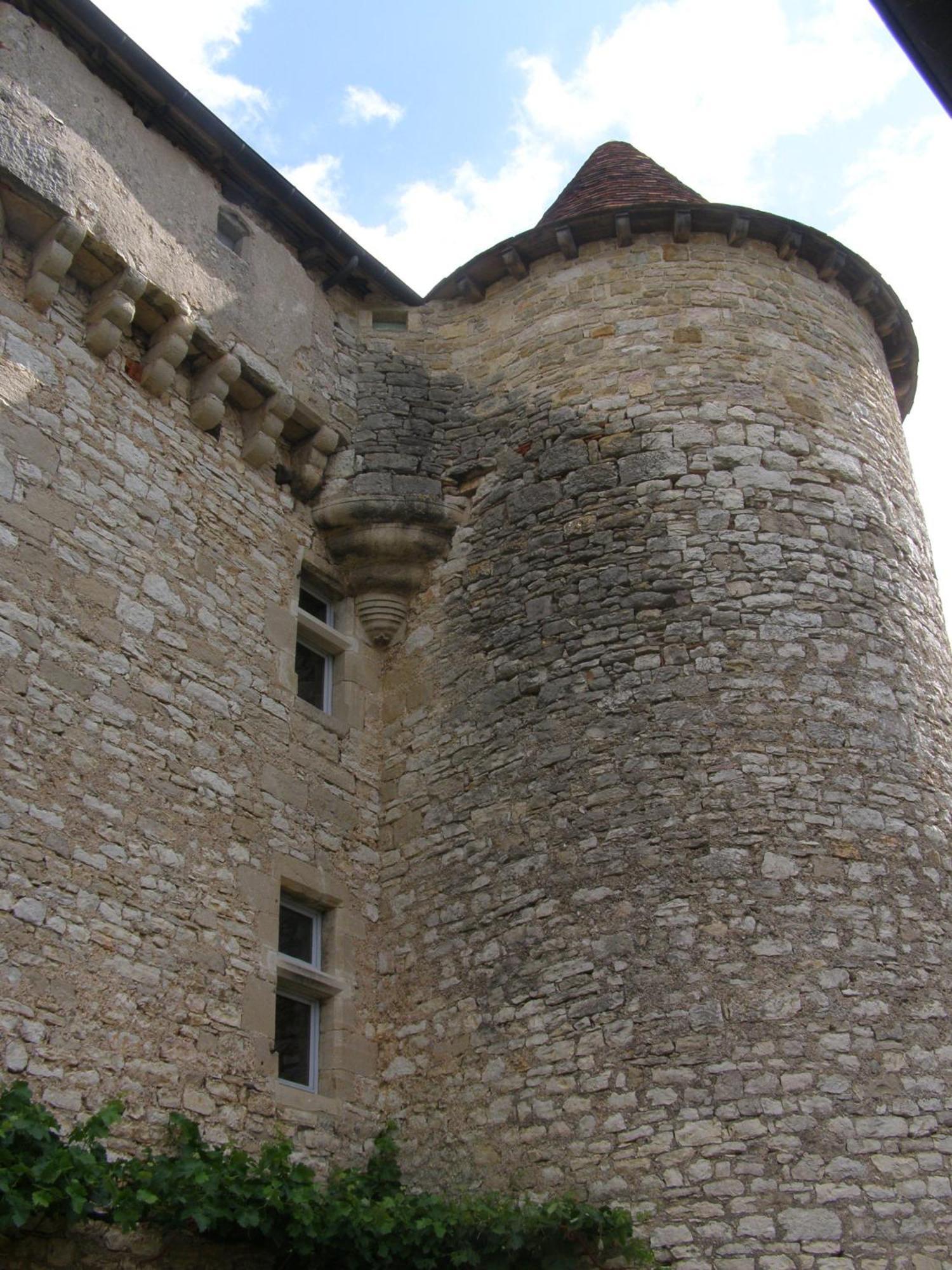 Château de Camboulan Acomodação com café da manhã Ambeyrac Exterior foto