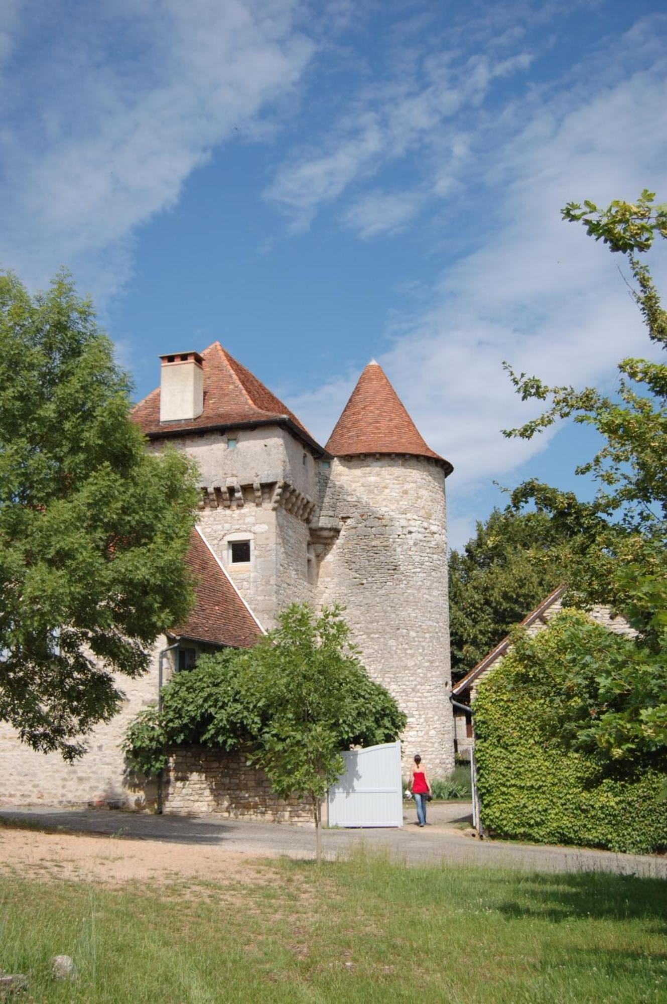 Château de Camboulan Acomodação com café da manhã Ambeyrac Exterior foto