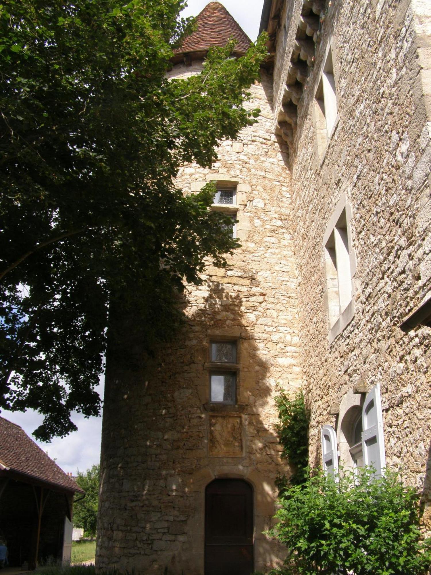 Château de Camboulan Acomodação com café da manhã Ambeyrac Exterior foto